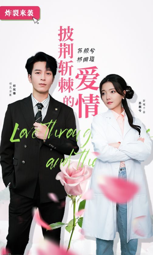 披荆斩棘的爱情 海报