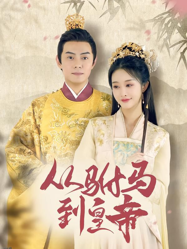 从驸马到皇帝 海报