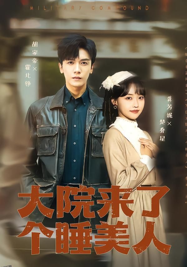 大院来了个睡美人 海报