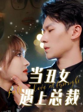 当丑女遇上总裁 海报