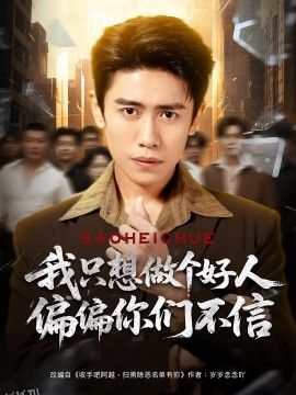 我只想做个好人偏偏你们不信 海报