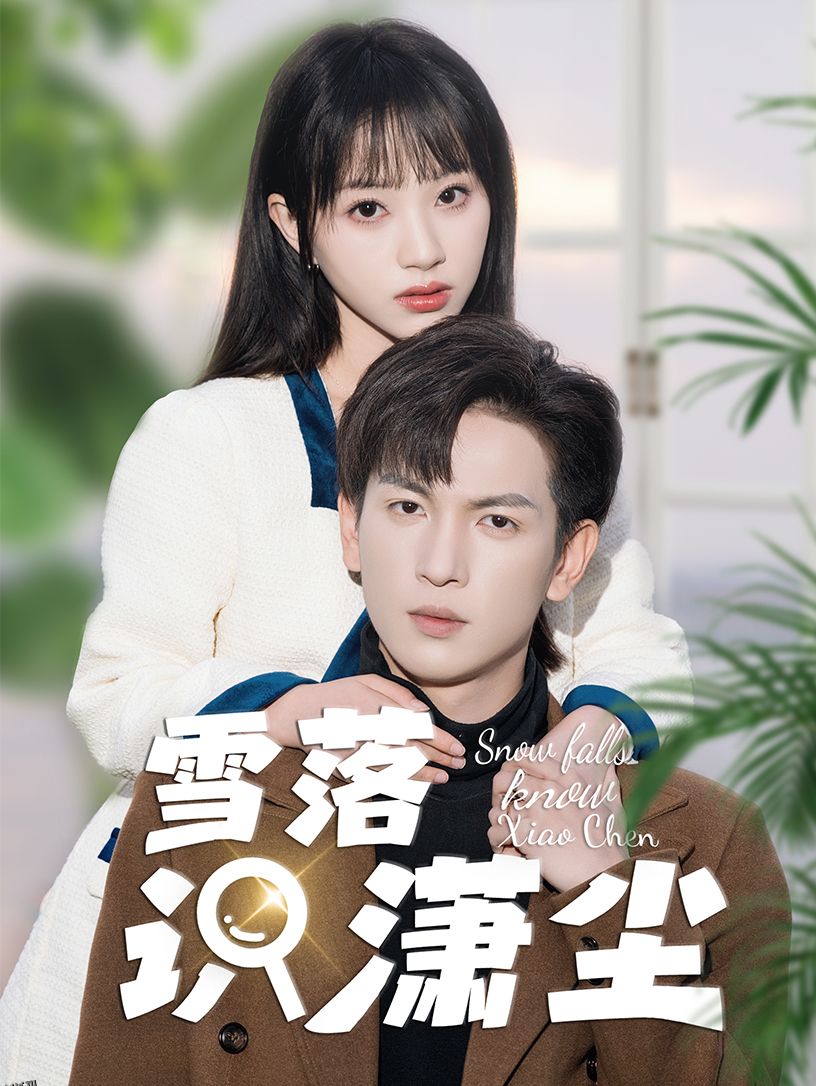 雪落识潇尘 海报