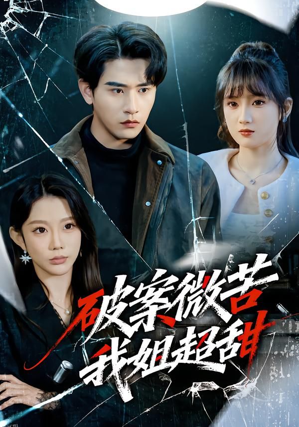 破案微苦我姐超甜 海报