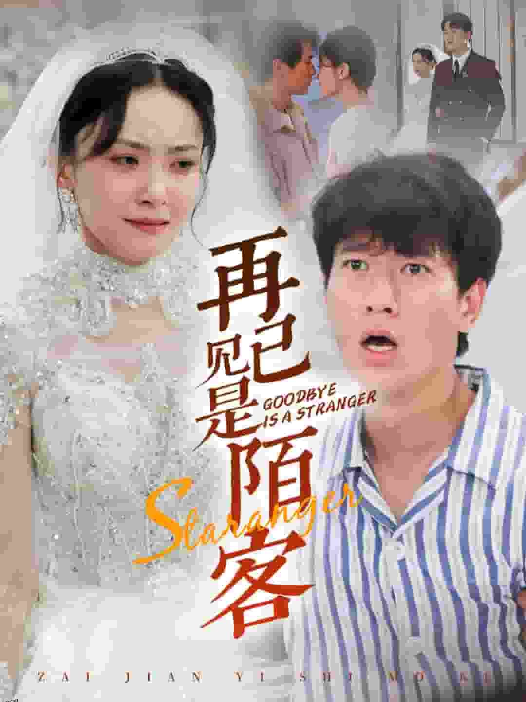 再见已是陌客 海报