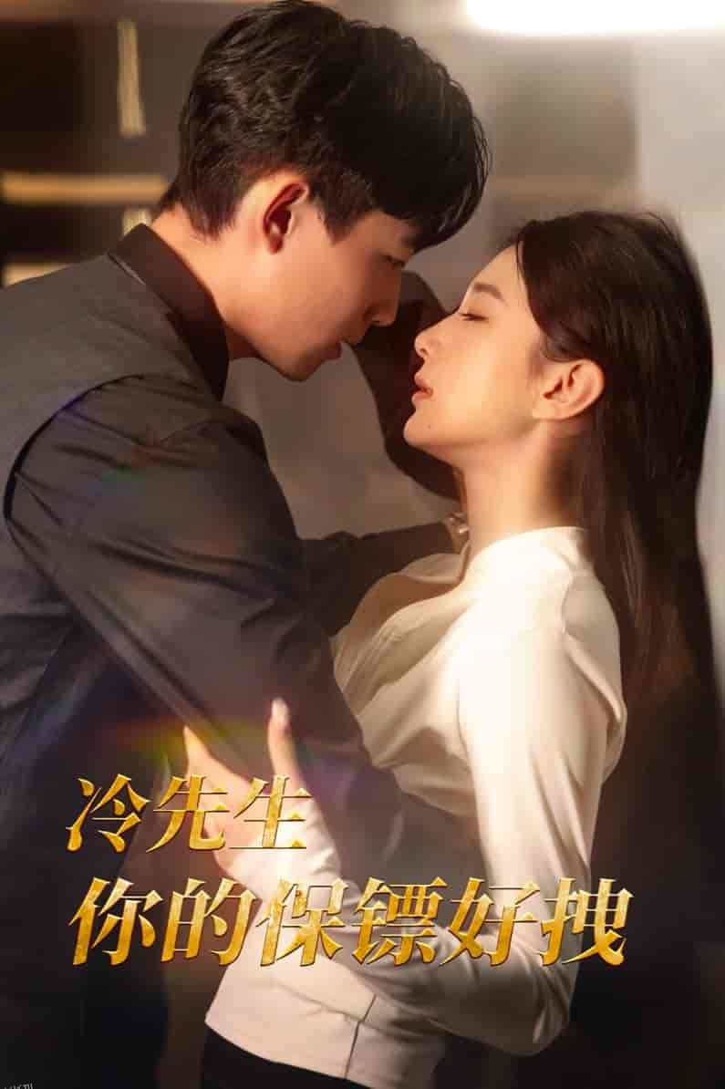 冷先生你的保镖好拽 海报