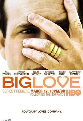 大爱第一季 海报