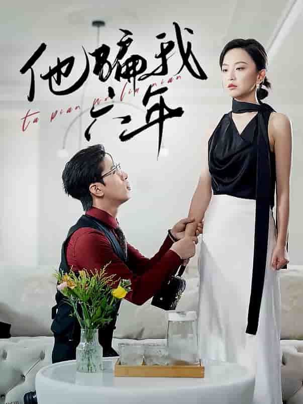 他骗我六年 海报