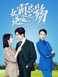 女霸总的逆爱之殇 海报