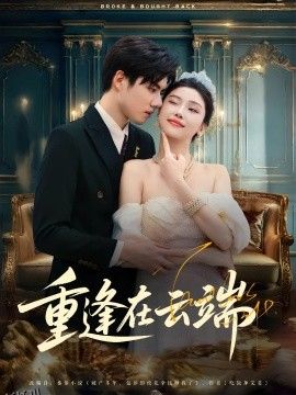 重逢在云端 海报