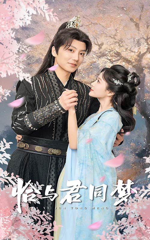 恰与君同梦 海报