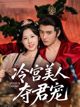 冷宫美人夺君宠 海报