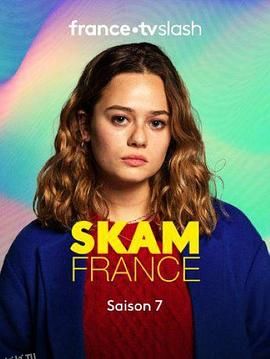 羞耻法国版第七季 海报