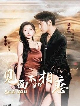 见面不如相恋 海报