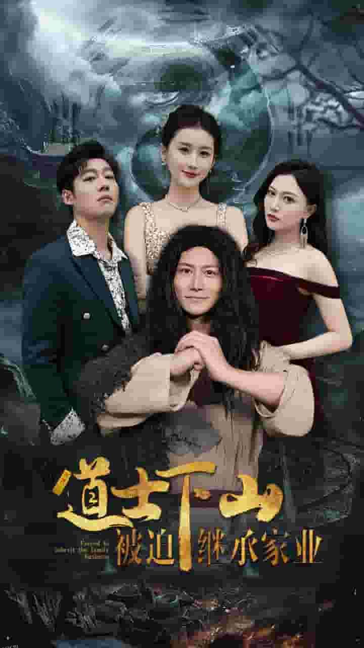 道士下山被迫继承家业 海报