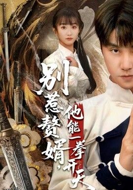 别惹赘婿，他能一拳开天 海报