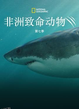 非洲致命动物第七季 海报