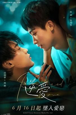 逆爱2025 高清海报