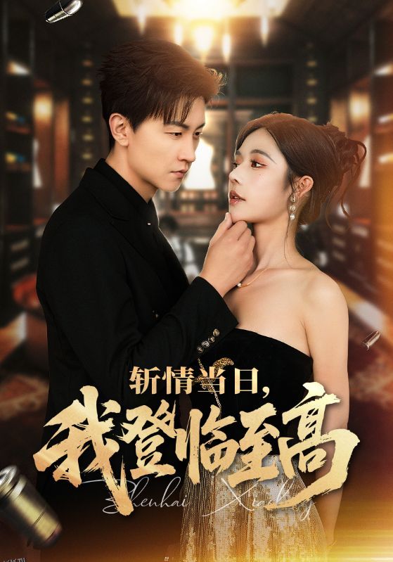 斩情当日，我登临至高 海报