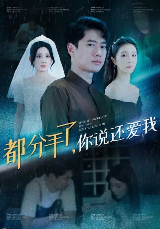 都分手了你说还爱我 海报