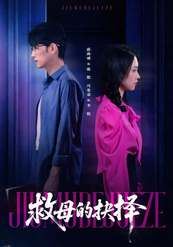 救母的抉择 海报