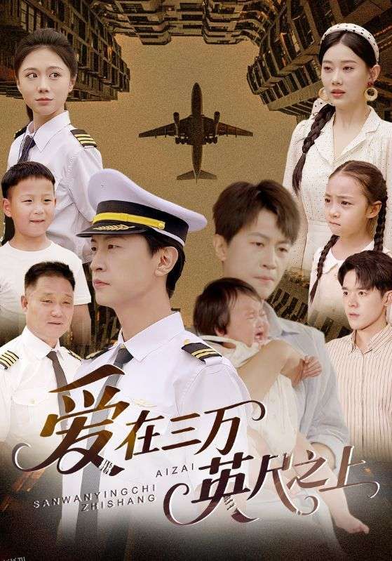 爱在三万英尺之上 海报