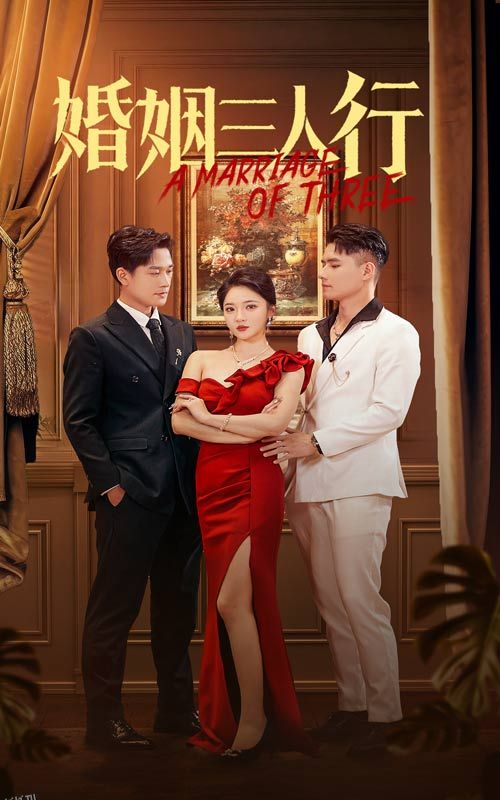 婚姻三人行 海报