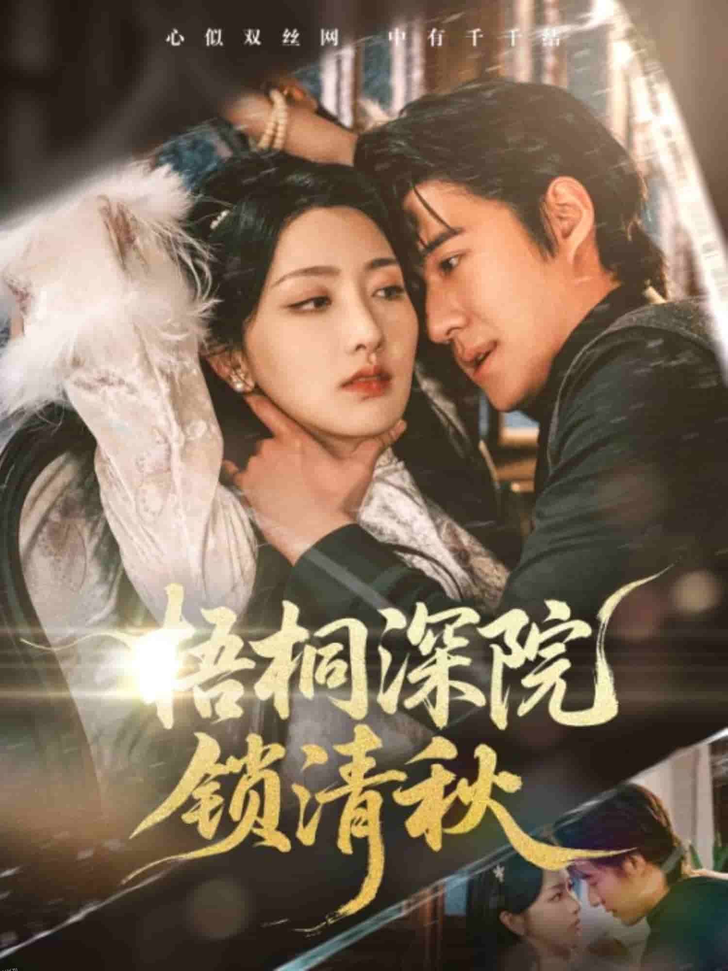 梧桐深院锁清秋 海报