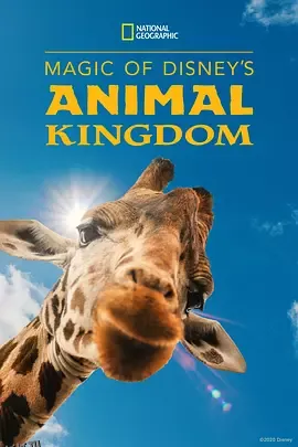 迪士尼动物王国第一季 海报