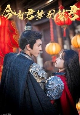 今有君梦别梦君 海报