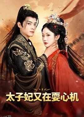 太子妃又在耍心机 海报
