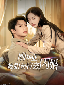 刚毕业被姐姐拉去闪婚 海报