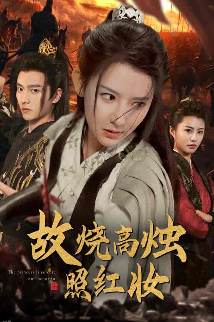 故烧高烛照红妆 海报