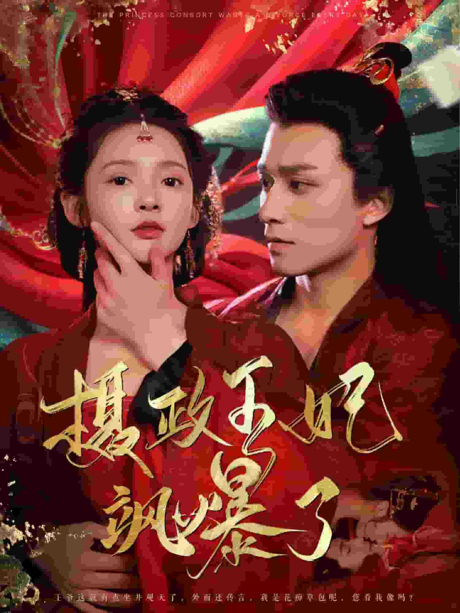 摄政王妃飒爆了 海报