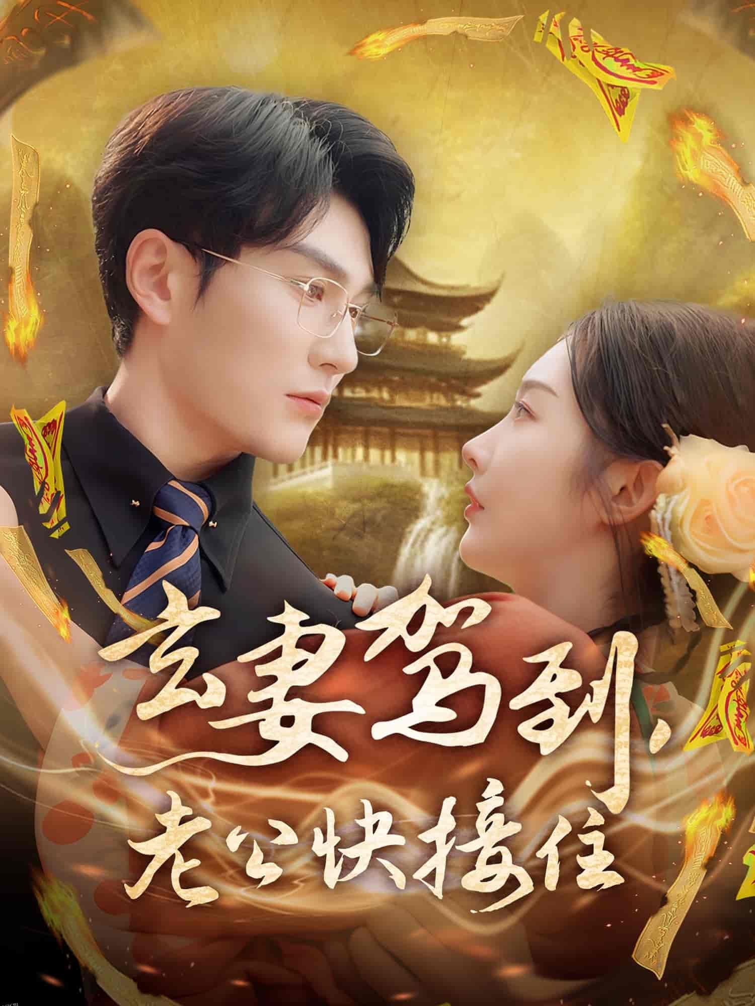 玄妻驾到，老公快接住 海报