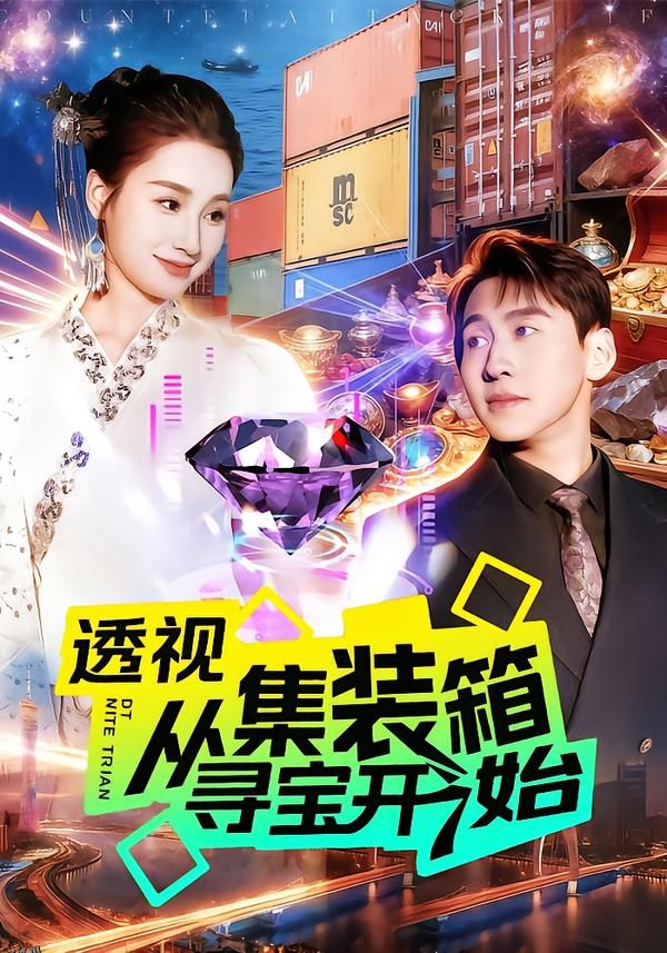 透视从集装箱寻宝开始 海报