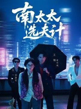 南太太选夫记 海报