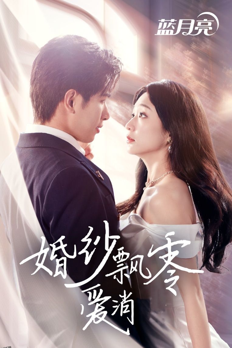 婚纱飘零爱消弭 海报