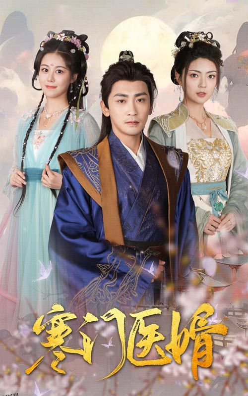 寒门医婿 海报