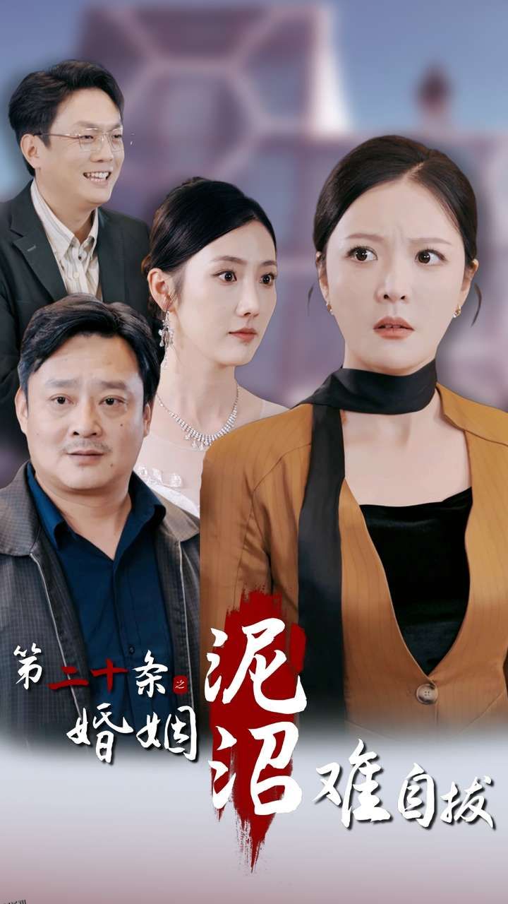 第二十条之婚姻沼泽难自拔 海报