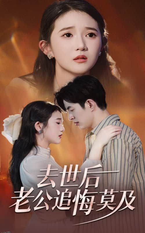 去世后老公追悔莫及 海报