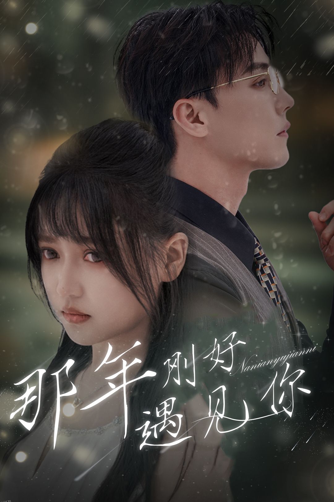 那年刚好遇见你 海报