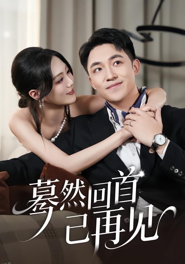蓦然回首已再见 海报
