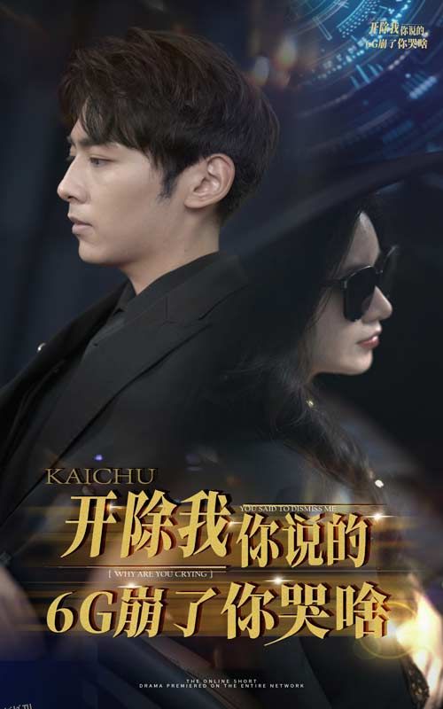 开除我你说的6G崩了你哭啥 海报