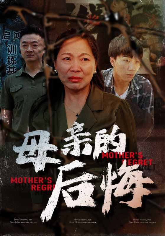 母亲的后悔 海报