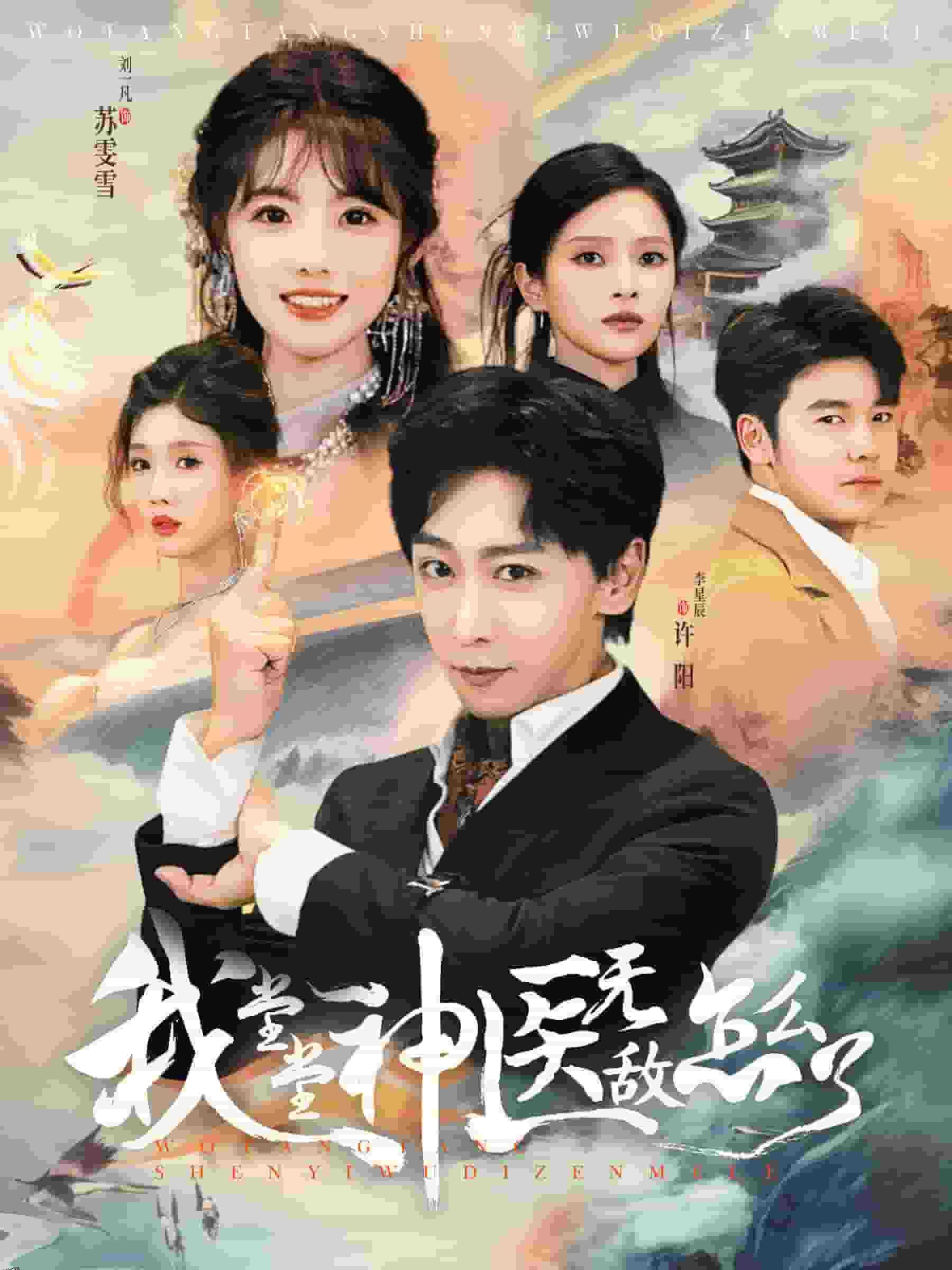 我堂堂神医无敌怎么了 海报