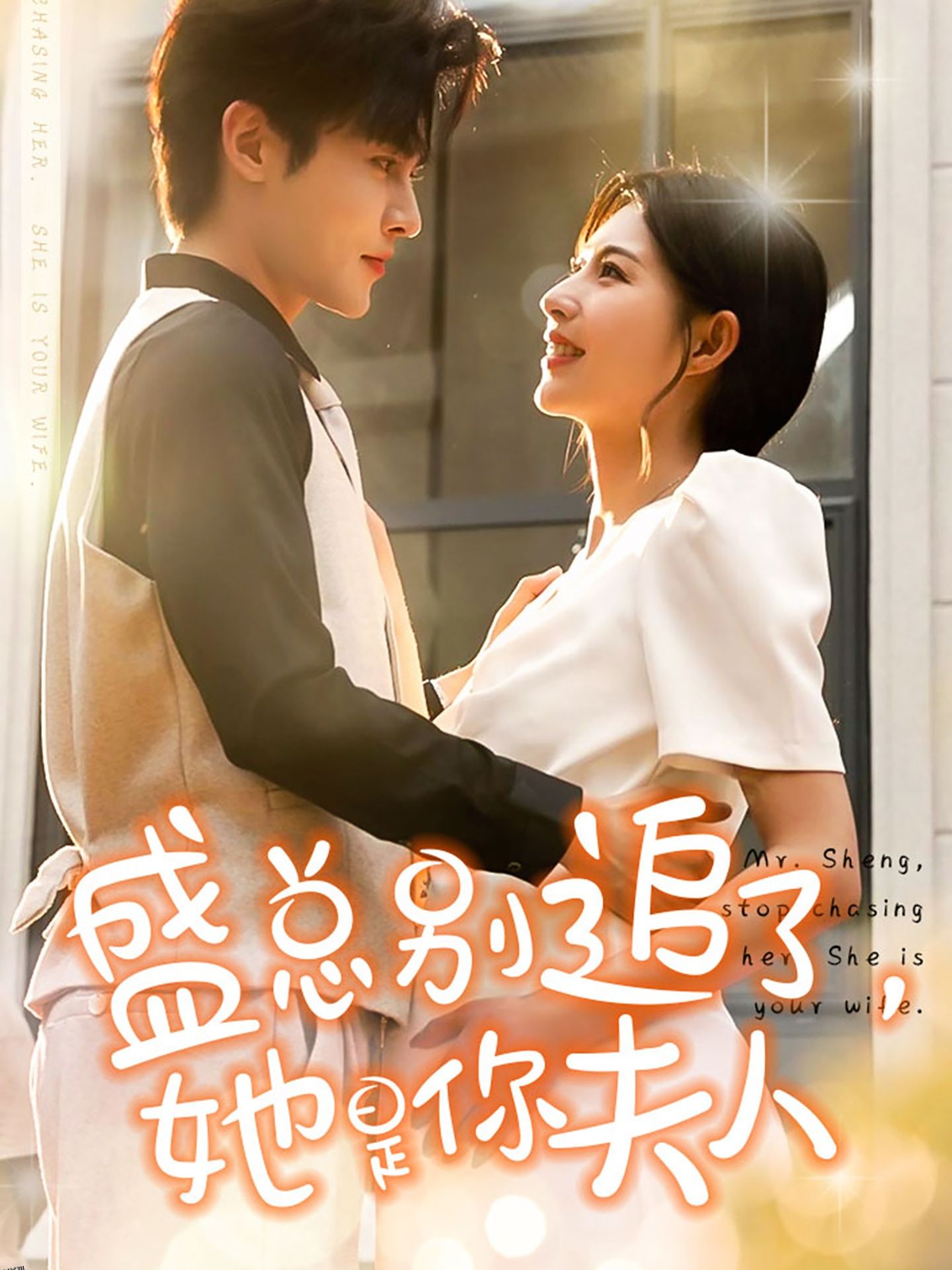 盛总别追了，她是你夫人 海报