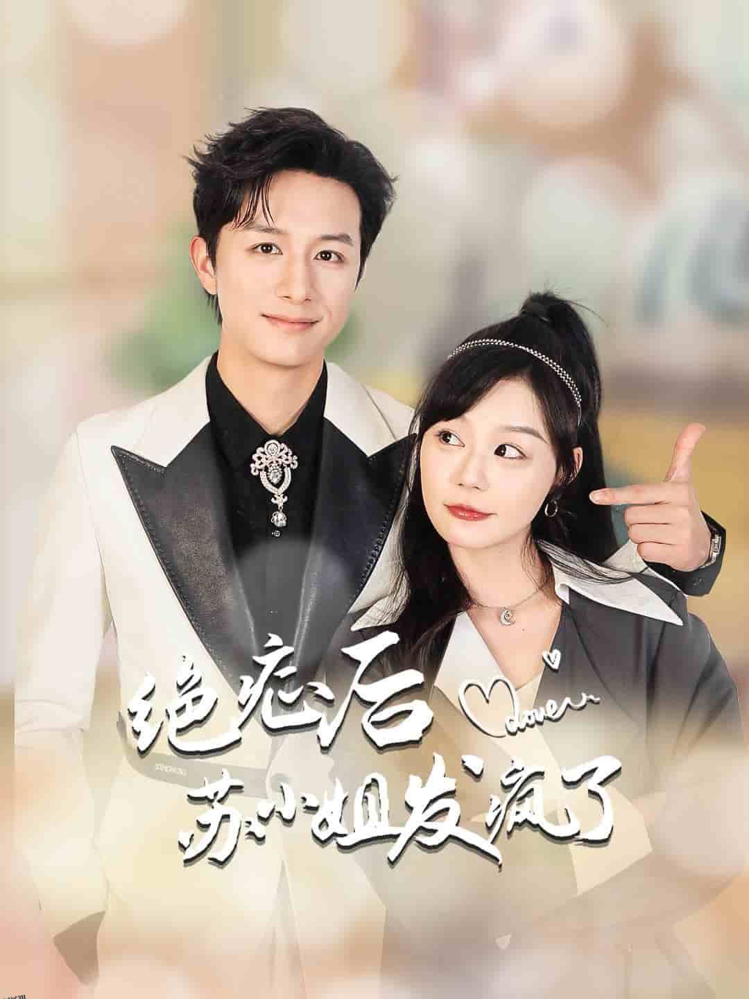 绝症后苏小姐发疯了 海报