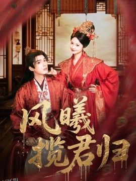 风曦揽君归 海报