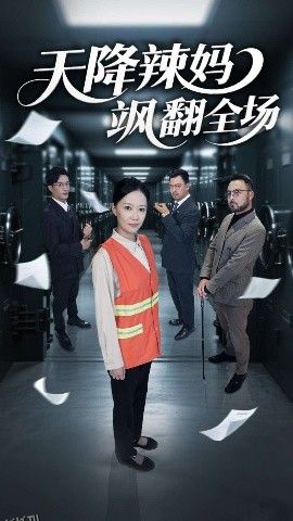 天降辣妈飒翻全场 海报