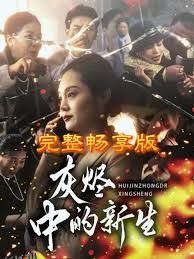 灰烬中的新生 高清海报